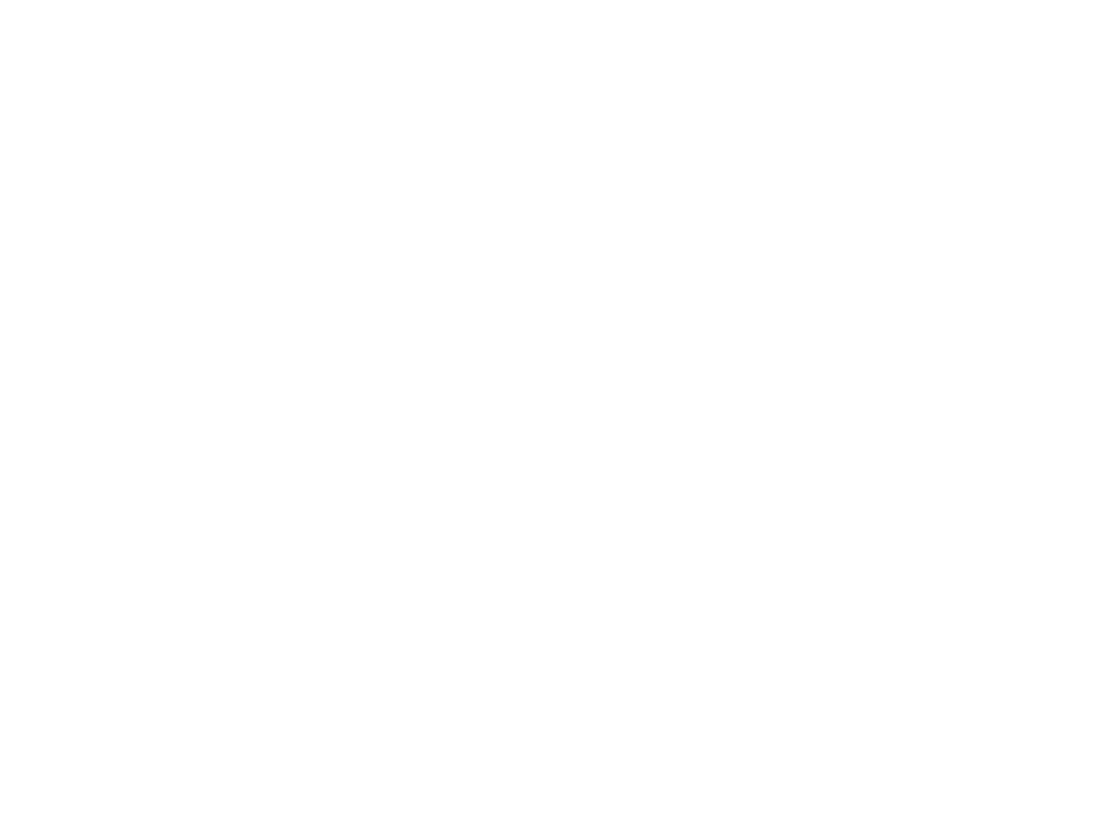 LOGO SP BLANCO